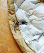 ナイロンウエザー ダウンジャケット