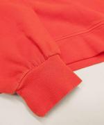 ミニ裏毛ピグメント加工 クルーネック