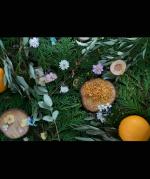 komons/ハンドミルク/Cotton Fields/mini/ギフト