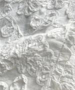 テープ刺繡コットンボイル　パンツ