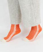 色の輪郭(配色) ショートソックス