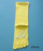 5本指シルクコットンソックス