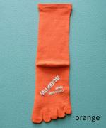 5本指シルクコットンソックス