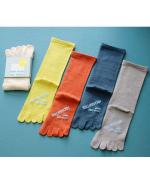 5本指シルクコットンソックス