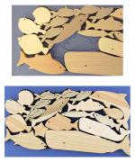 うみのいきものつみき