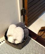 Kottan　Basket（M)/ブラックナチュラル