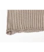 TRANSPARENT STRIPES SHIRT